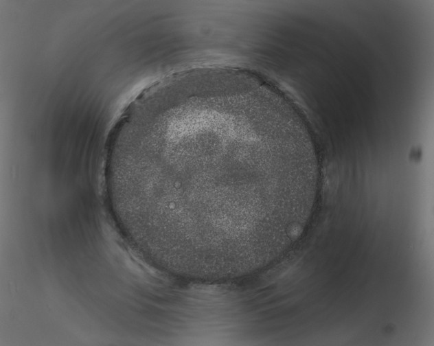 X0000116610679200912312118