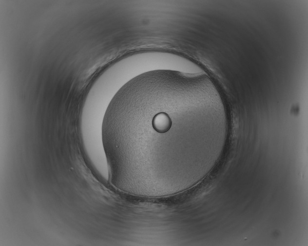 X0000116610681200912312118