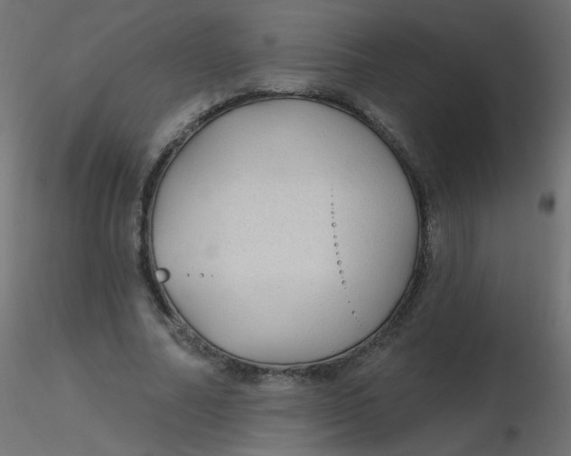 X0000116610682200912312118