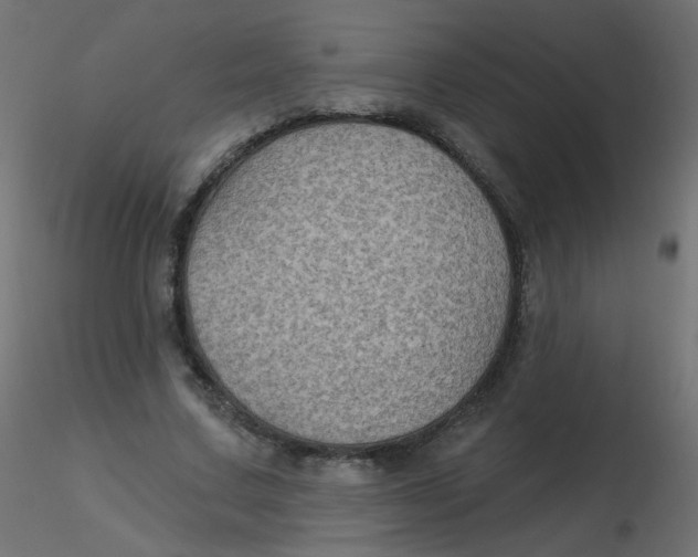 X0000116610683200912312118