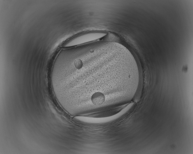 X0000116610684200912312118