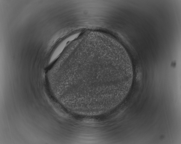 X0000116610685200912312118