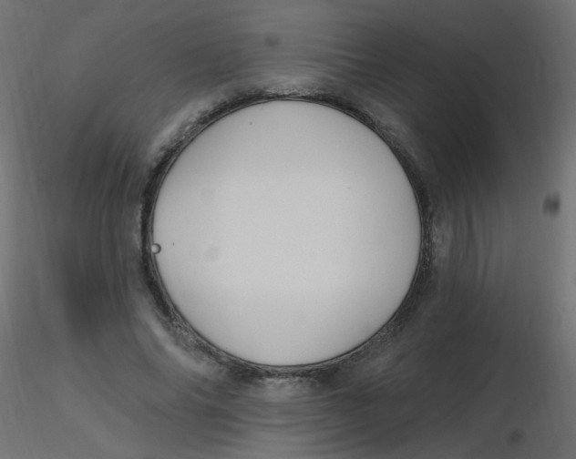 X0000116610686200912312118