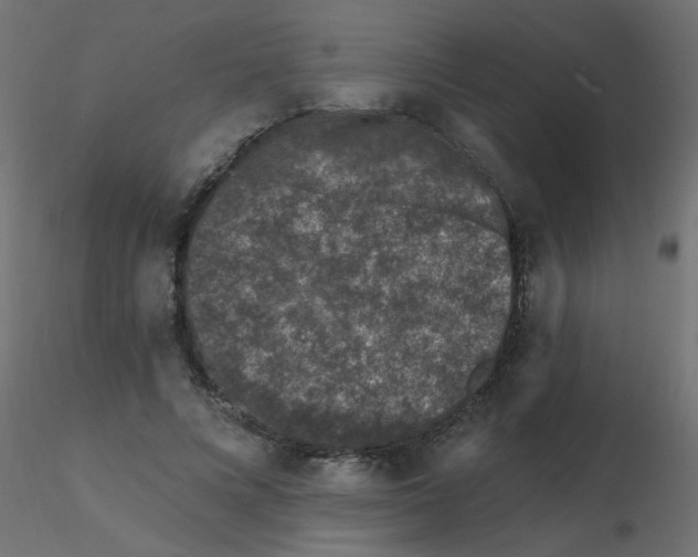 X0000116610688200912312118