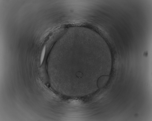 X0000116610689200912312118