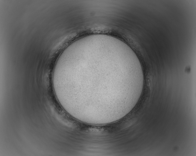 X0000116610690200912312118