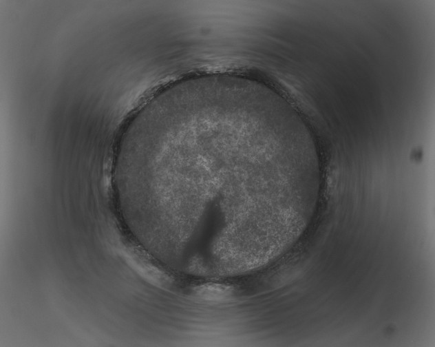 X0000116610691200912312118