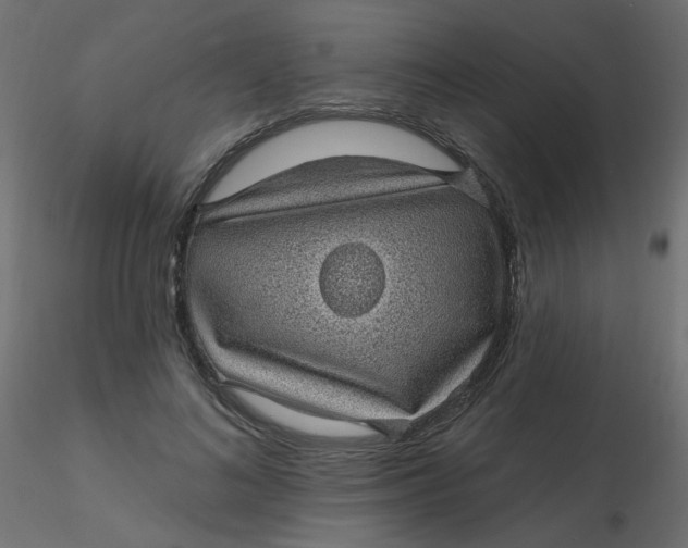 X0000116610692200912312118