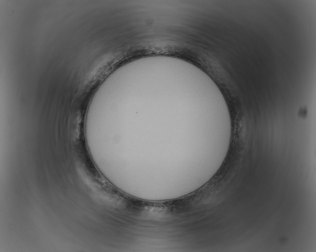 X0000116610694200912312118