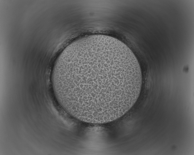 X0000116610695200912312118