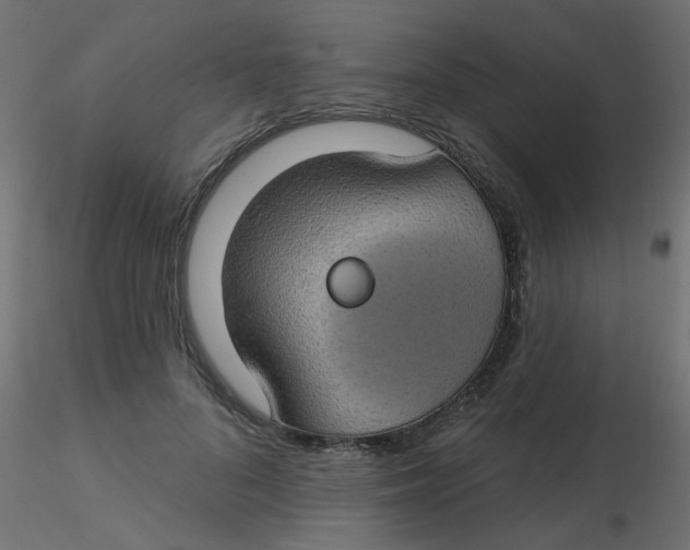 X0000116610696200912312118