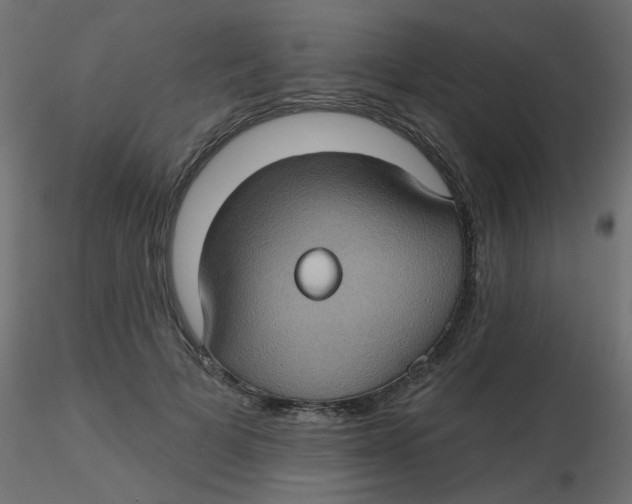 X0000116610697200912312118