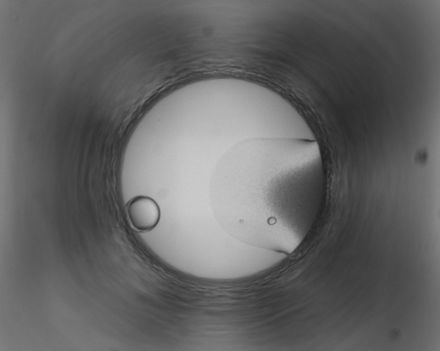 X0000116610700200912312118