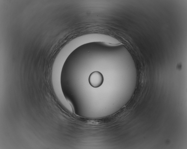 X0000116610701200912312118