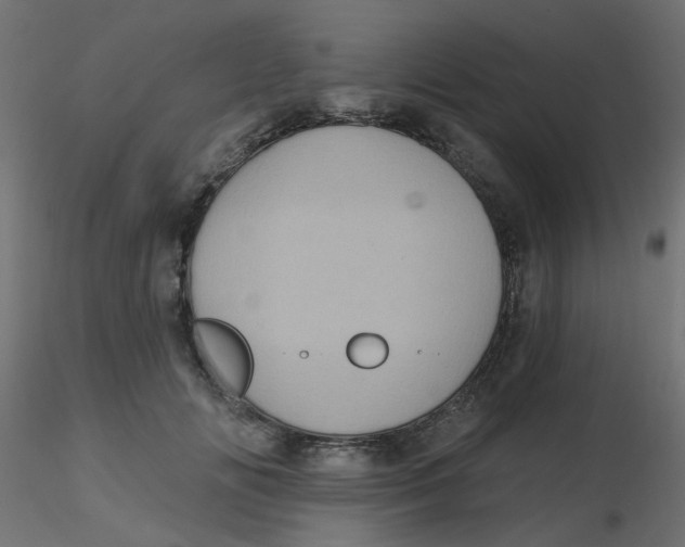 X0000116610702200912312118