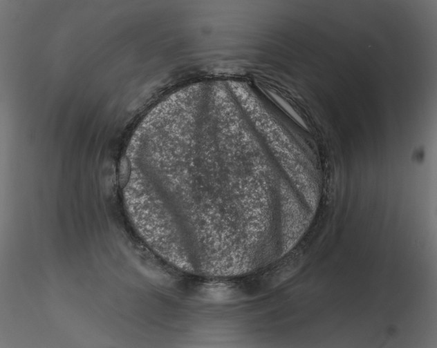 X0000116610704200912312118