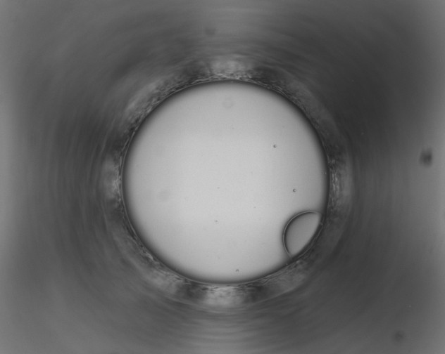 X0000116610705200912312118