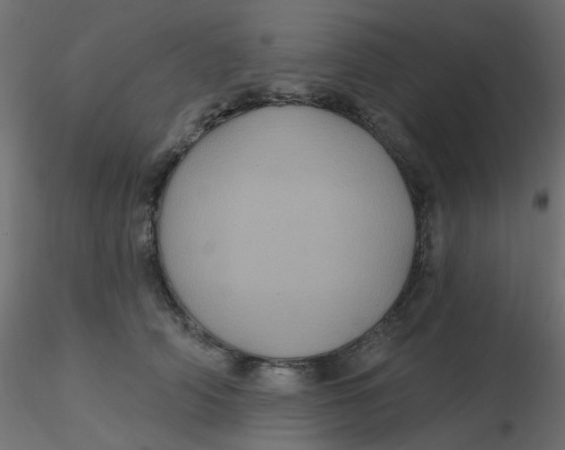 X0000116610706200912312118