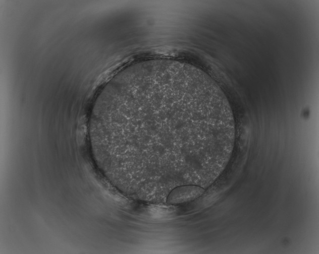 X0000116610707200912312118