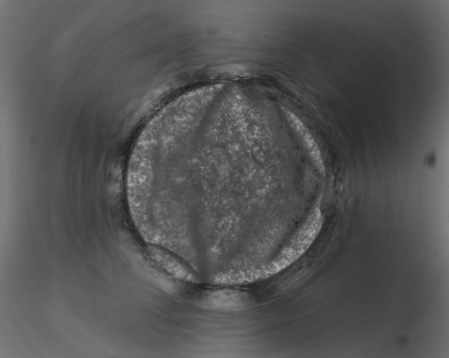 X0000116610708200912312118