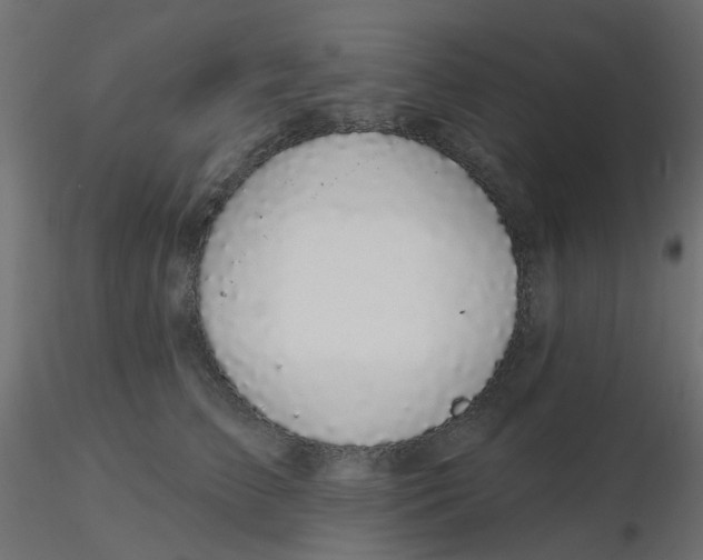 X0000116610709200912312118