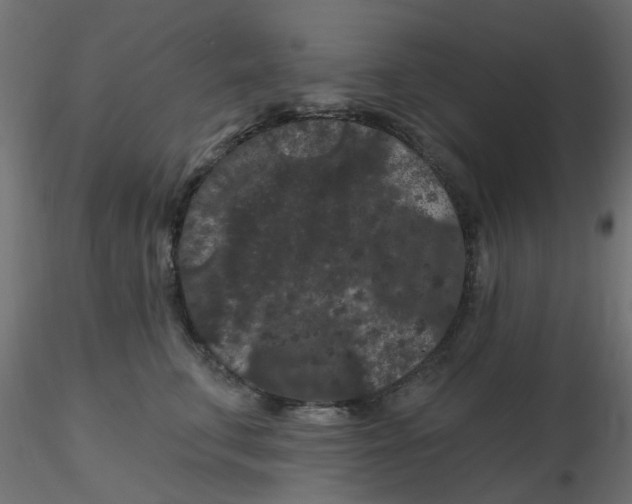 X0000116610711200912312118