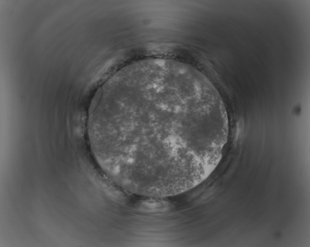 X0000116610712200912312118