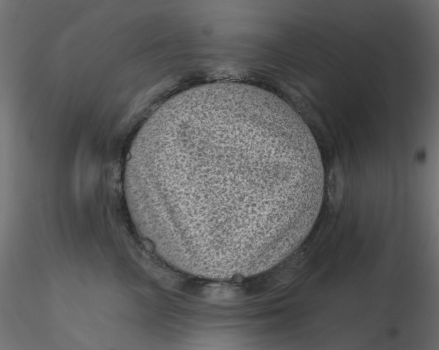 X0000116610714200912312118