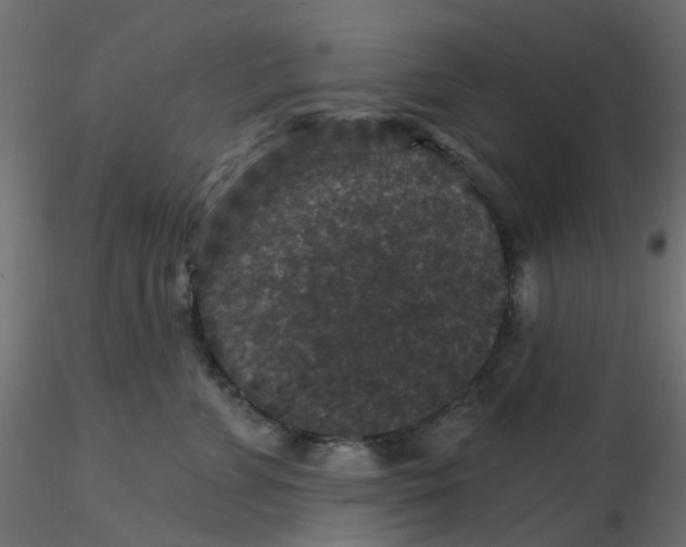 X0000116610715200912312118