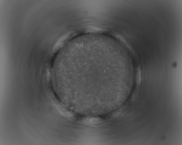 X0000116610716200912312118