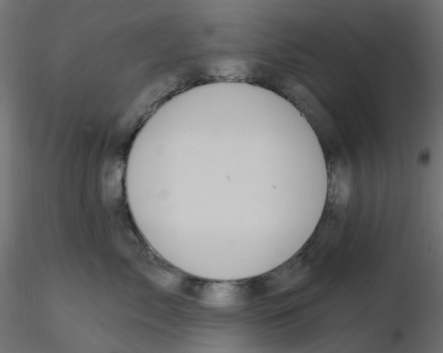 X0000116610717200912312118