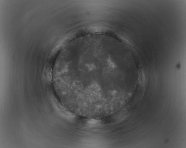 X0000116610718200912312118