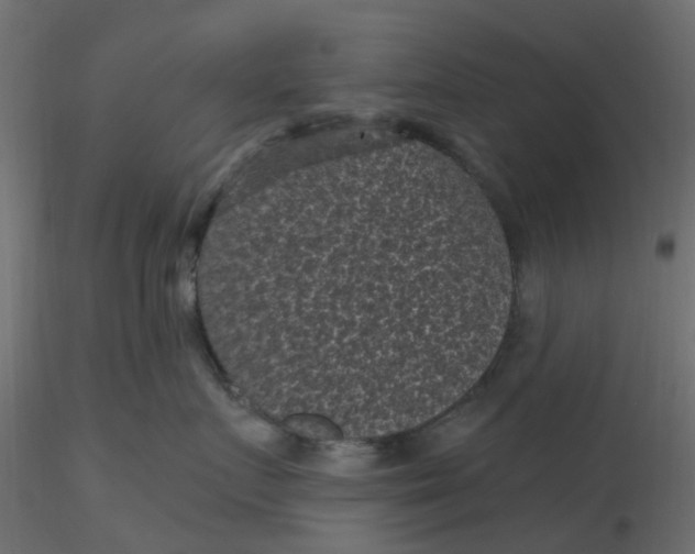 X0000116610719200912312118