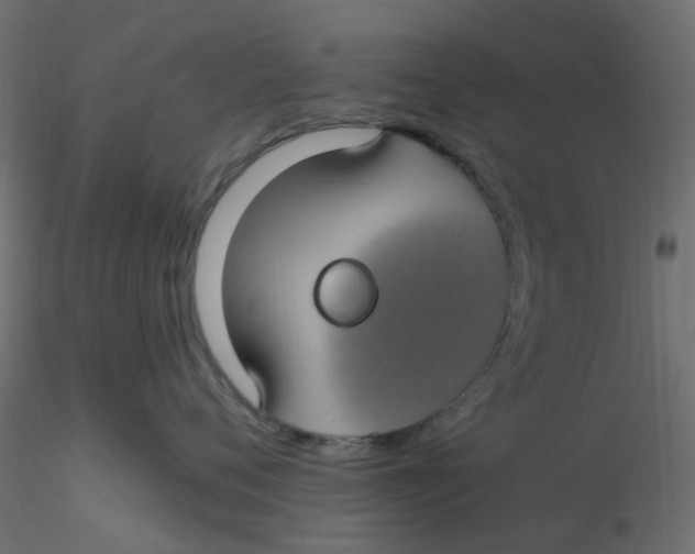 X0000116610720200912312118