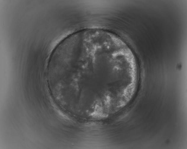 X0000116610721200912312117