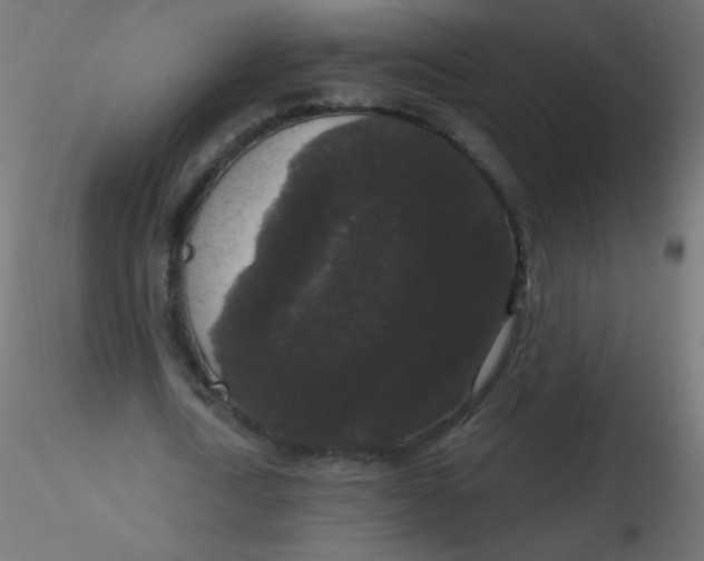 X0000116610722200912312117