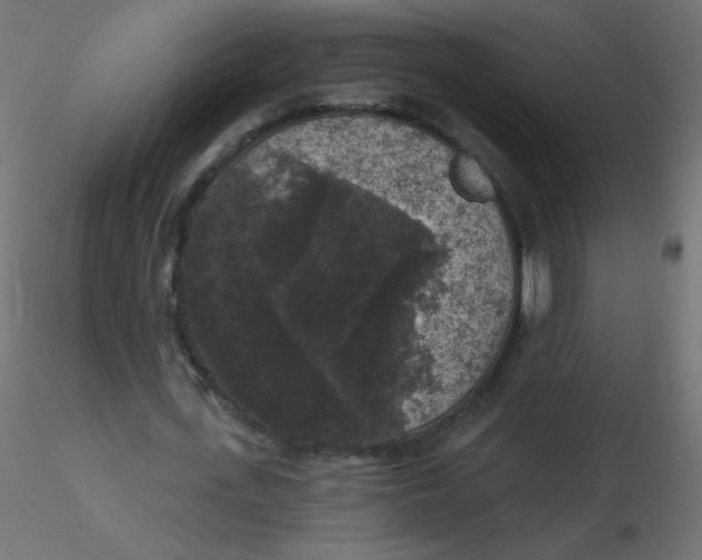 X0000116610723200912312117