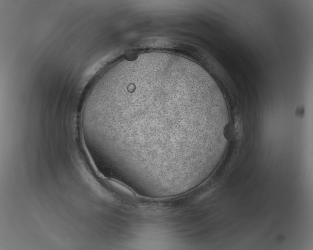 X0000116610725200912312117