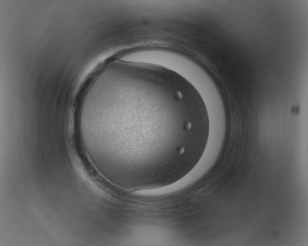 X0000116610726200912312117