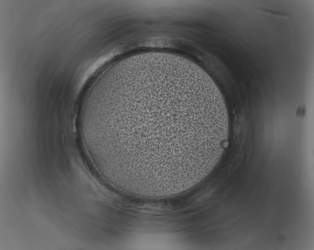 X0000116610727200912312117