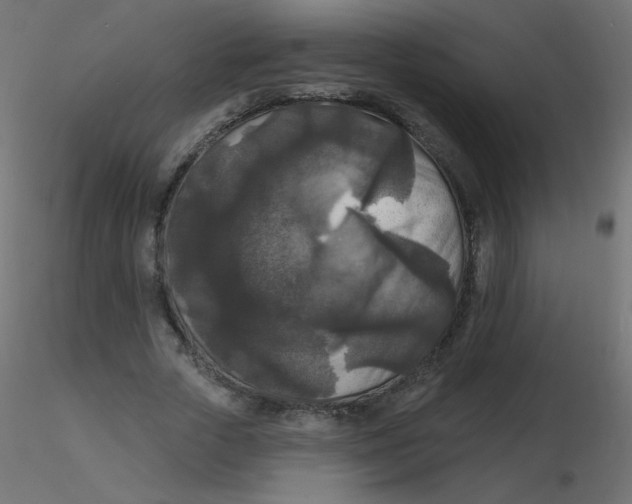 X0000116610729200912312117