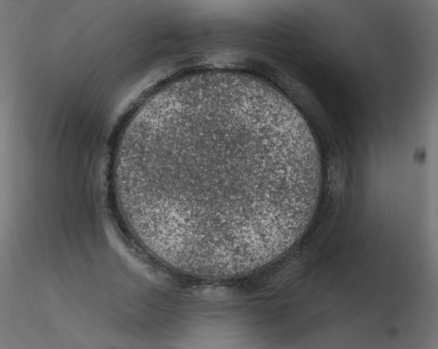 X0000116610730200912312117