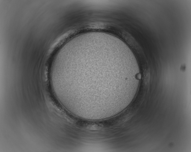 X0000116610731200912312117