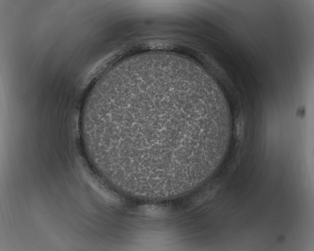 X0000116610733200912312117