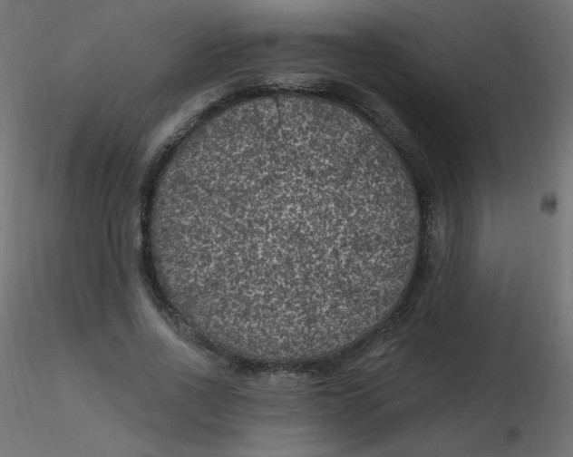 X0000116610734200912312117