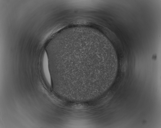 X0000116610735200912312117