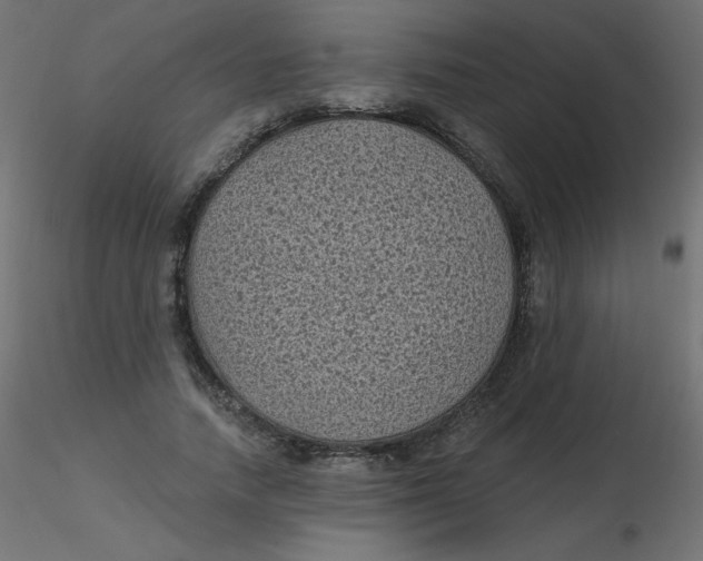 X0000116610738200912312117