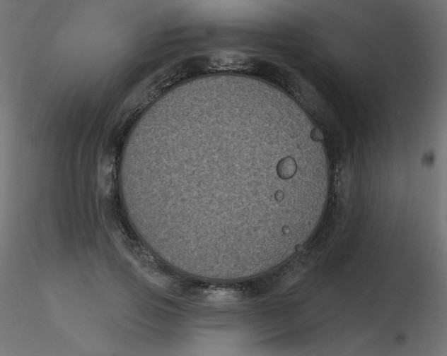 X0000116610741200912312117