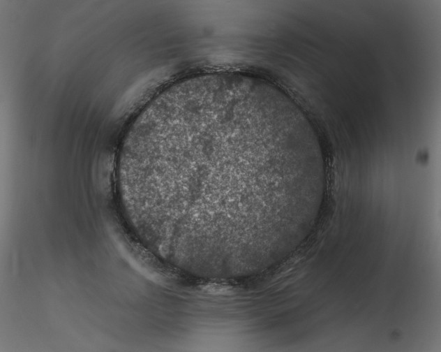 X0000116610742200912312117