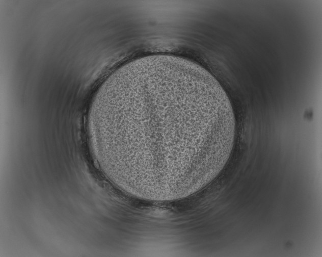 X0000116610743200912312117